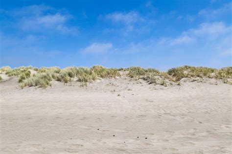 Sand Dunes at Ocean Beach stock photo. Image of geography - 118834150