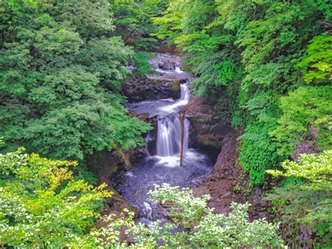 《宮城県》穴場なb級珍観光スポットも多数紹介！外せない絶景旅行地を半日・日帰りドライブ。何もないとは言わせない！【人気定番からマイナー隠れ名所・2024年まとめ】｜日本国内の観光・旅行ブログ