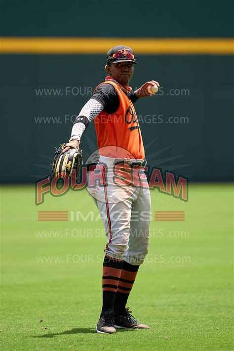 Fcl Orioles Black Fcl Braves Baseball Four Seam Images