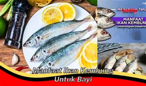 Temukan Manfaat Ikan Kembung Untuk Bayi Yang Jarang Diketahui Biotifor