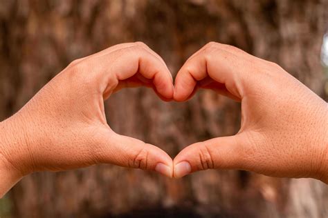 dos manos entrelazadas en forma de corazón fondo natural 18786659