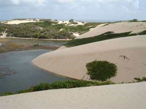 Parque Das Dunas Vale A Pena Visitar Em 2025 Mala Pronta