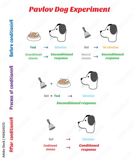 The mechanics of the Pavlovs dog experiment with bell ... - Worksheets ...