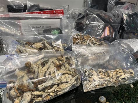 Magic Mushroom Shop Shut Down By Police One Day After Opening In Hamilton