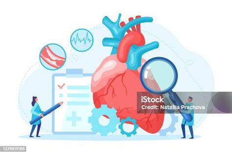 Heart Health Check Up And Tiny Cardiology Specialist With Magnifying