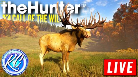 LIVE Hunting Reindeer Musk Deer In Medved Taiga Call Of The