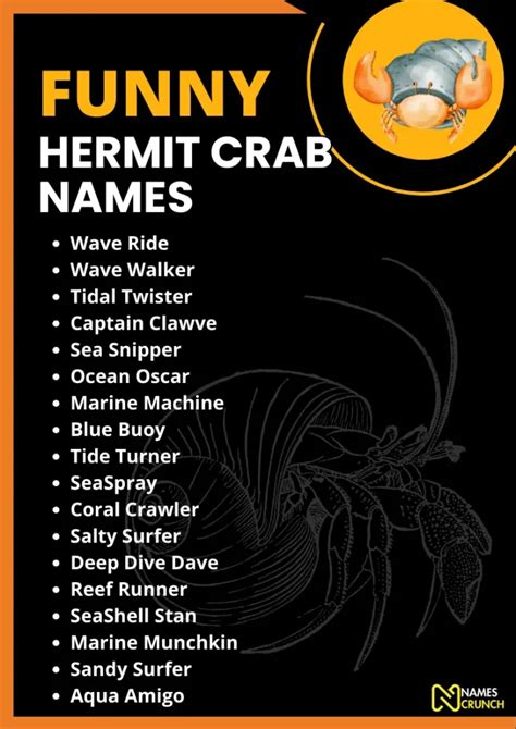 280 Funny Hermit Crab Names Clever Ideas Names Crunch