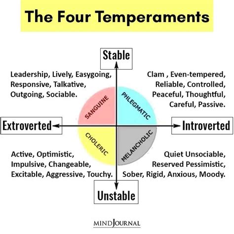 What Is Phlegmatic Personality? 6 Defining Traits of These Harmony Seekers