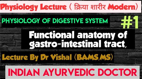 Physiology Of Digestive System In Hindi Bams St Year Lecture