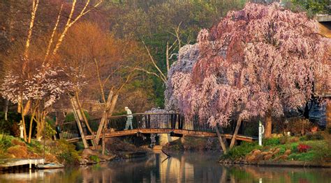 Best Things to Do Near Reston, Virginia