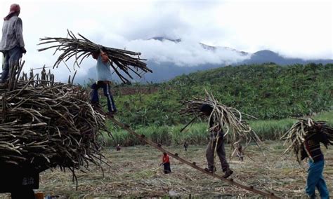 Milliers D Vacuations Apr S L Ruption D Un Volcan Aux Philippines