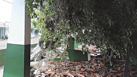 Árvore cai e destrói muro de escola no Bairro Independência Correio