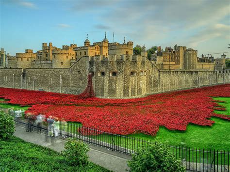 In photos: 2014's Tower of London poppies