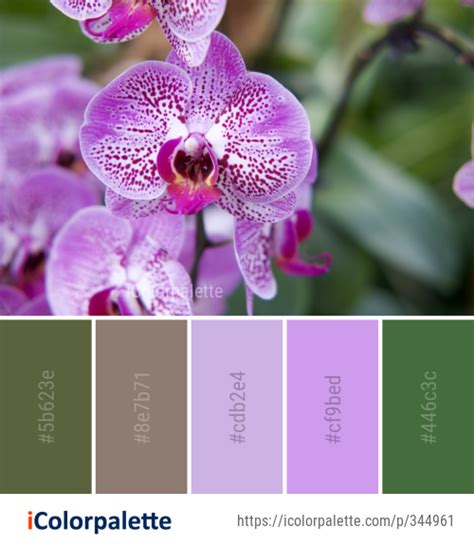 187 Orchid Color Palette Ideas In 2024 Icolorpalette