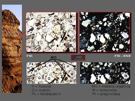 Micromorfologia De Un Fluvisol Eutrico