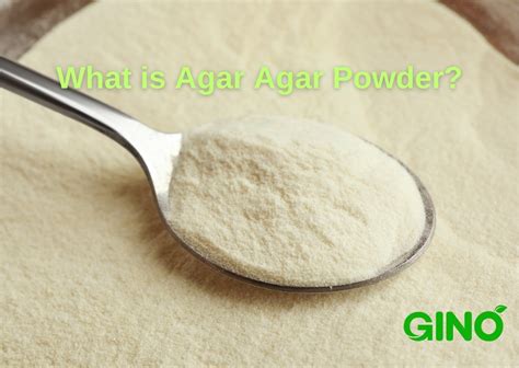 Agar Agar Powder Uses: Unlocking the Versatility