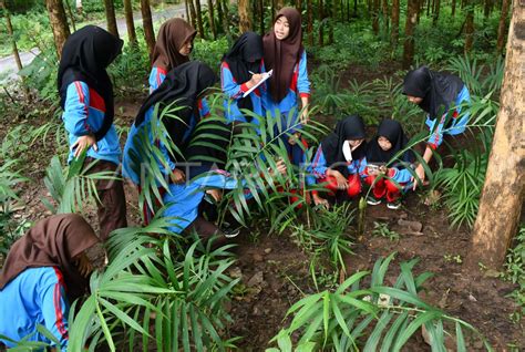 Penerapan Kurikulum Merdeka Di Hutan Madiun Antara Foto