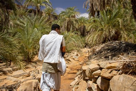 The unknown Oasis of El Berbera in Mauritania – wild man life