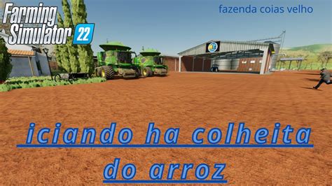 Fs Iniciando Ha Colheita Te Arroz Na Nossa Senhora Da Aparecida