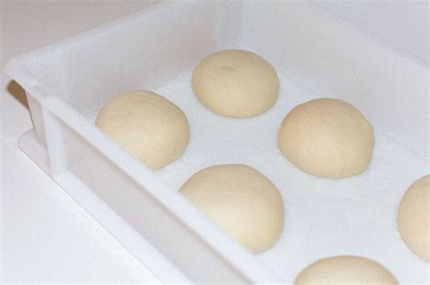 The Best Pizza Dough Proofing Box For Your Home Kitchen