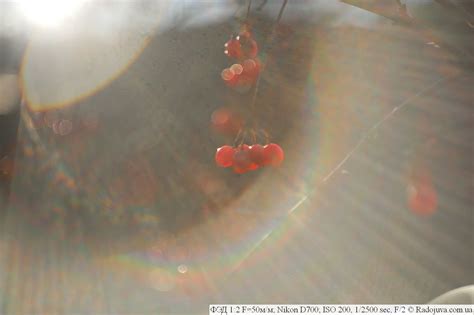 Обзор объектива ФЭД 50 F2 | Радожива