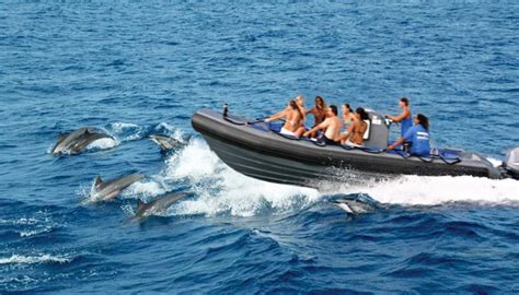 Deluxe Napali Snorkel Blue Dolphin Charters