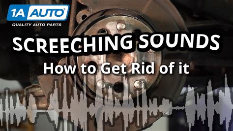 Screeching Sound When Braking in Reverse Simple Steps to Get Rid of the Noise in Your Car or ...