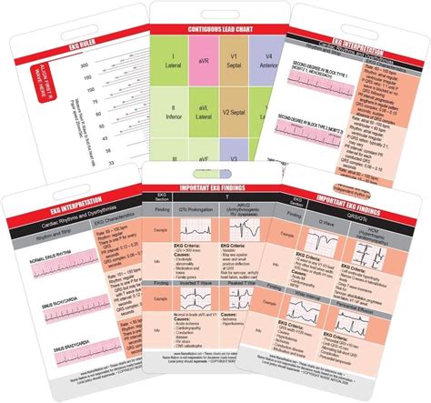 Amazon EKG Ruler Horizontal Badge ID Card Pocket Reference Guide