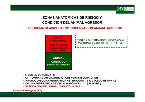 PPT Profilaxis Antirrabica Mayo 2023 Pdf