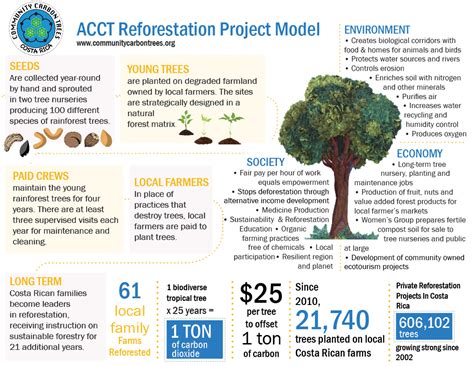 Reforestation Projects - Sustainable Forest Management | Community Carbon Trees