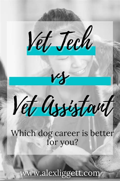 Vet Tech Assistant Artofit