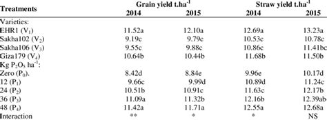 Grain And Straw Yields Tha 1 As Affected By Rice Varieties And