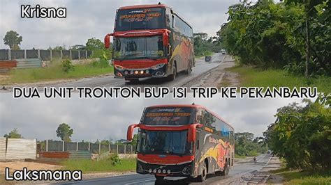 BUS BUP PANEN PENUMPANGTURUNKAN 2 UNIT TRONTON KE PEKANBARU YouTube