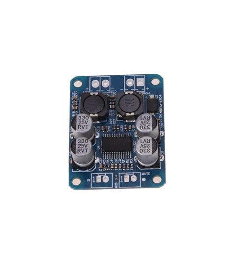 Modul Amplificator Audio Mono TPA3118 (60 W) | Robotica.md