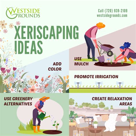 Xeriscape Ideas 2024 - Westside Grounds