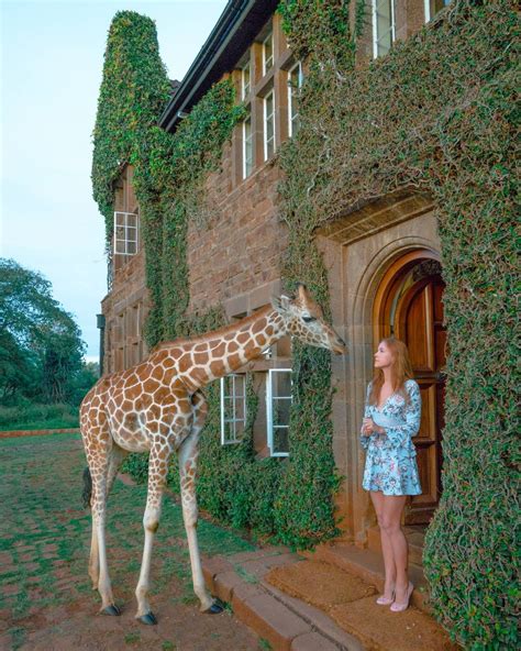 Giraffe Manor in Kenya - Is It Worth the Money? | Anna Everywhere