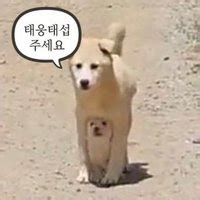 고차배 on Twitter 송태섭 10년째 서태웅이랑 연애하는 꿈 꿀 것 같음 그러다 매번 눈 뜨고 나면 허망한 표정으로