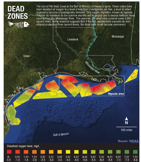 Dead Zones In The Gulf Of Mexico Pdf Dead Zone Ecology United States Environmental