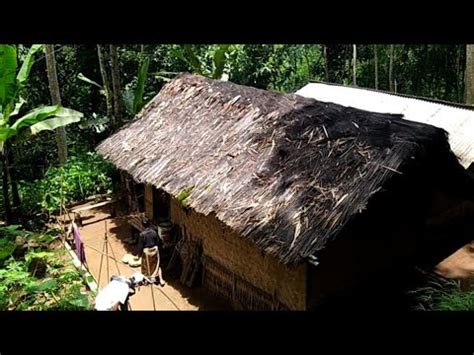 Gak Nyangka Ternyata Rumah Tengah Hutan Ini Berdiri Sejak Jaman