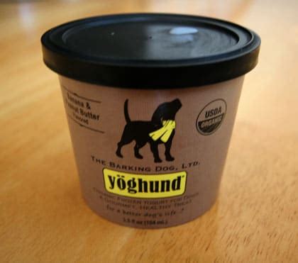 Yogurt for Dogs, Is Yogurt Good for Dogs, Benefits, Recipes, Side Effects