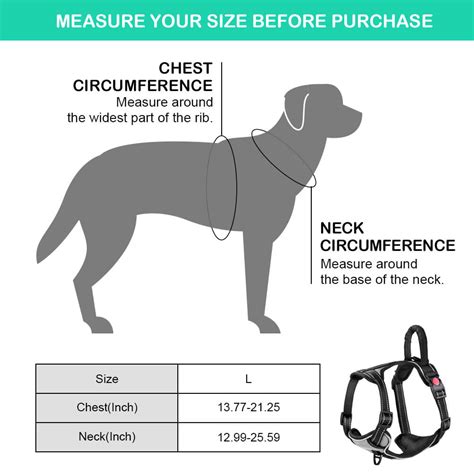 How To Measure A Dog For A Harness Petswall