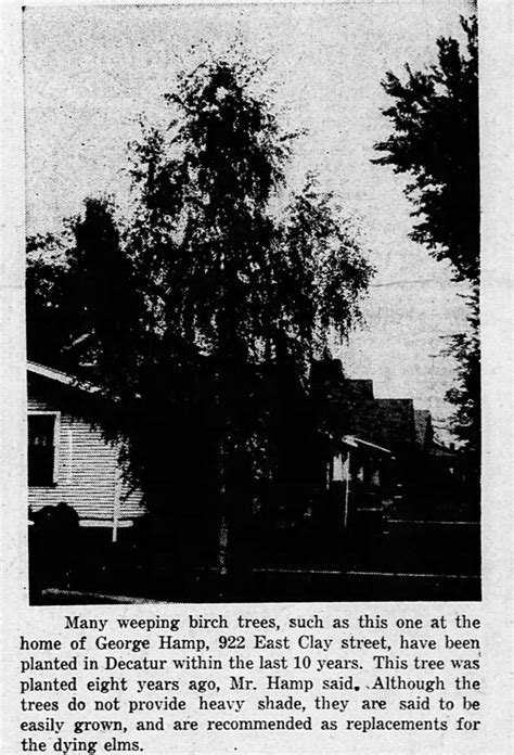 Local History - Trees of Decatur | Decatur, IL Public Library