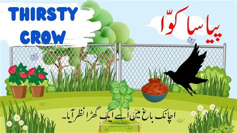 Thirsty Crow Story In Urdu Hindi Piyasa Kawa Moral Stories