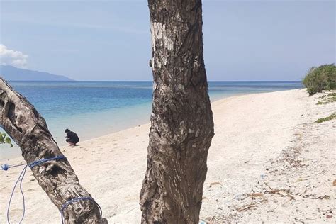 Foto Keindahan Alam Flores Pukau Wisatawan Dari Jakarta Halaman 4