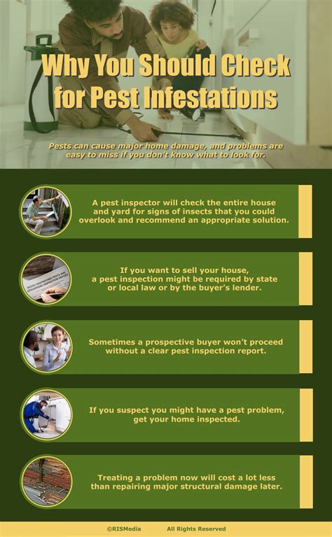 Why You Should Check for Pest Infestations — RISMedia