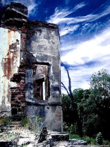 Черный Замок Ольшанский Книга Скачать - instrukciyavr