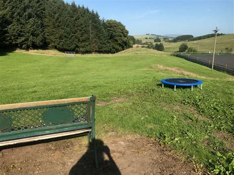 mutts omuckhart secure dog play area dog parks