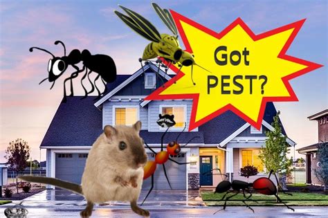 Pest Control Service - Republic Pest Control Houston