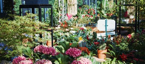 Blumenhalle Laga Bad Dürrenberg 2024