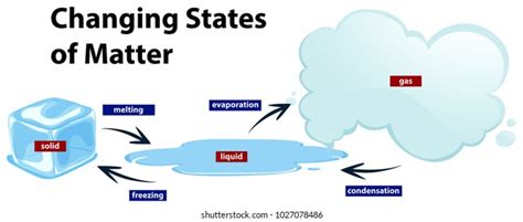 546 States Of Matter Diagram Images, Stock Photos, 3D objects ...